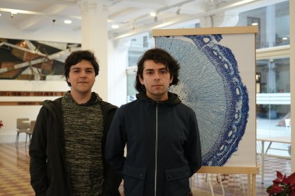 Proyecto de la PUCV revela la belleza oculta de la flora endémica de Valparaíso mediante un trabajo interdisciplinario