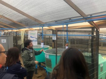 Piscicultura Río Blanco impulsa la acuicultura sustentable en Limache con modelo de pequeña escala