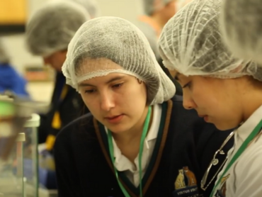 Ingenio Bioactivo 2024