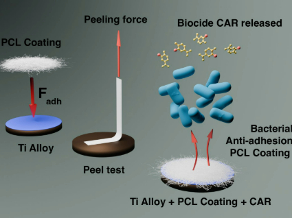 Académica PUCV impulsa desarrollo de prótesis ortopédicas más seguras y biocompatibles