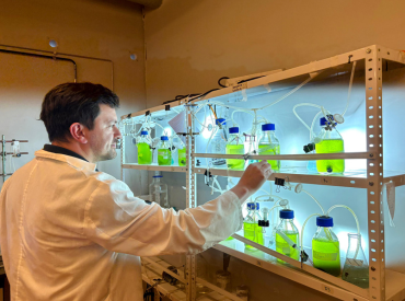 Con Inteligencia Artificial mejoran bioprocesos de microalgas con gran aplicación en la industria
