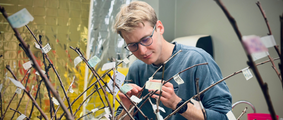 Donde florecen los estudios fenológicos: la travesía de Julian Bauer en la Escuela de Agronomía PUCV