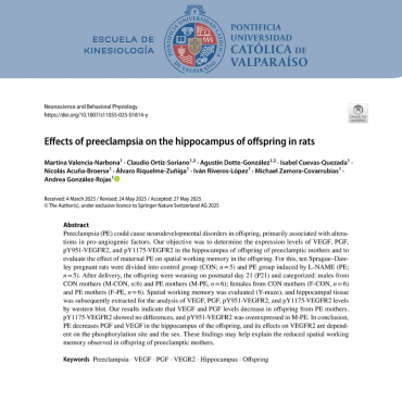 Estudio revela cómo la preeclampsia afecta la memoria en la descendencia y la expresión de factores proangiogénicos