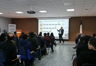 Académica y estudiante de Doctorado PUCV contribuyen a boletín de INIA sobre calidad global de palta ‘Hass’