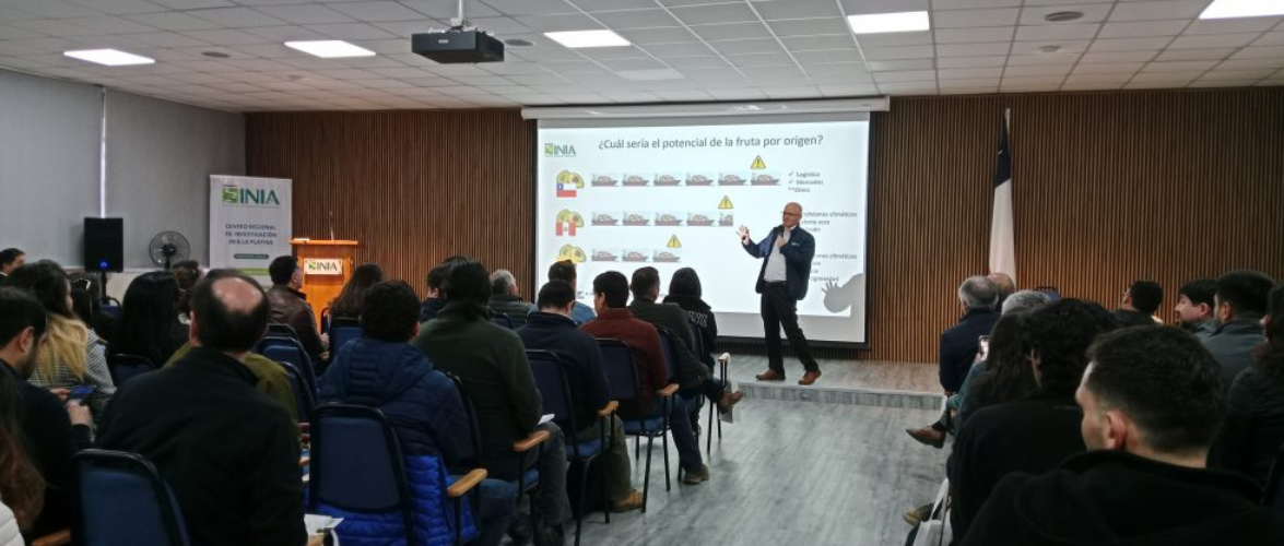 Académica y estudiante de Doctorado de Agronomía PUCV contribuyen a boletín de INIA sobre calidad global de palta ‘Hass’