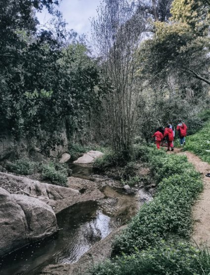 Profesora Érika Salas del Instituto de Biología PUCV se adjudicó Proyecto de Innovación Educativa de la Sociedad Chilena de Educación Científica 2025