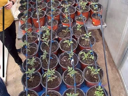 Mirando hacia el futuro: Académica busca potenciar el cultivo de plantas en ambientes hostiles