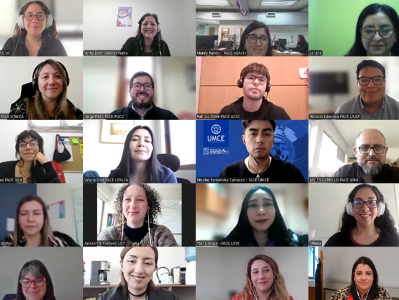 Pantallazo a encuentro online de profesionales PACE  de las instituciones de educación superior. 