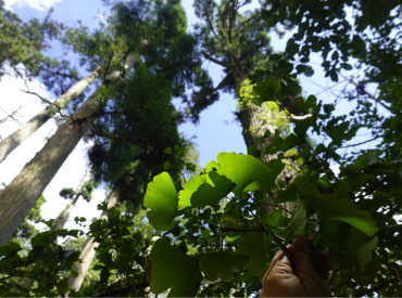 PUCV integra proyecto multinacional sobre reservas de la biósfera