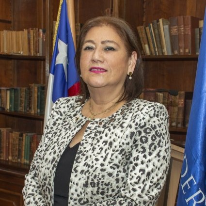 Carolina Figueroa, Ministra de la Corte de Apelaciones de Valparaíso: “La transformación cultural no ocurre de forma espontánea”