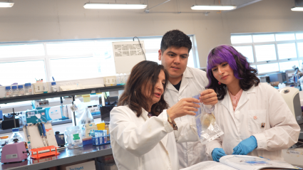 PUCV desarrolla tratamiento de triple acción contra la dermatitis atópica