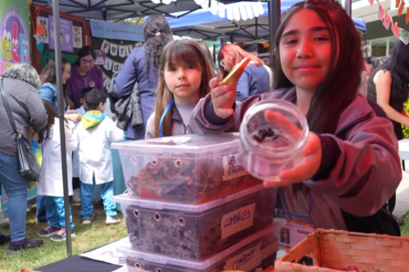 Creatividad, diversión y aprendizaje: Feria Explora y Pedagogía PUCV