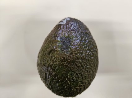 PUCV impulsa estudio internacional para mejorar la calidad de la palta Hass chilena