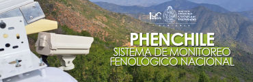 PHENCHILE BANNER