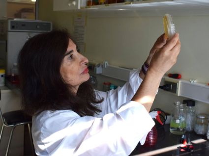 Académica de la Facultad obtiene patente por innovador gel dental