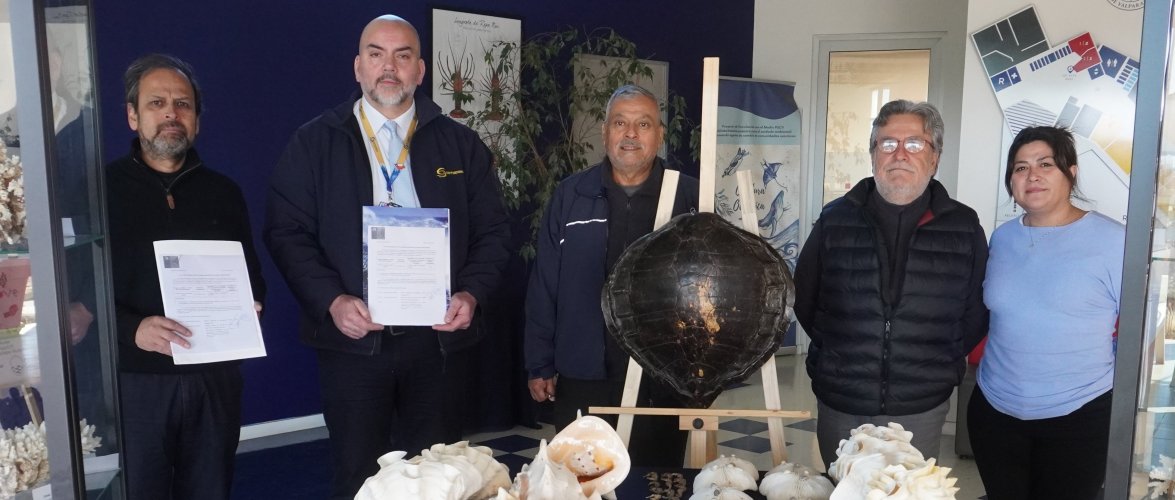 Especies CITES llegan a la Escuela de Ciencias del Mar de la PUCV para educar sobre la biodiversidad marina