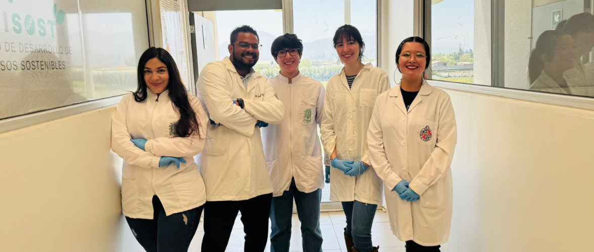 Universidad lidera investigación internacional para aprovechar el potencial biotecnológico de la Antártica