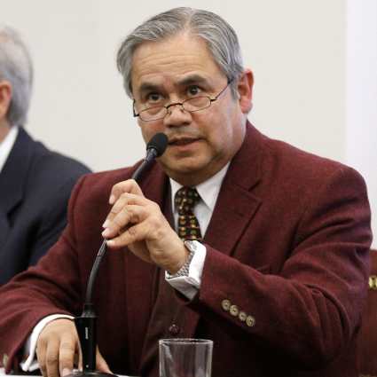 Carlos Salinas Araneda