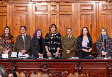 Profesora Laura Mayer participa en diversas instancias académicas y legislativas sobre violencia digital