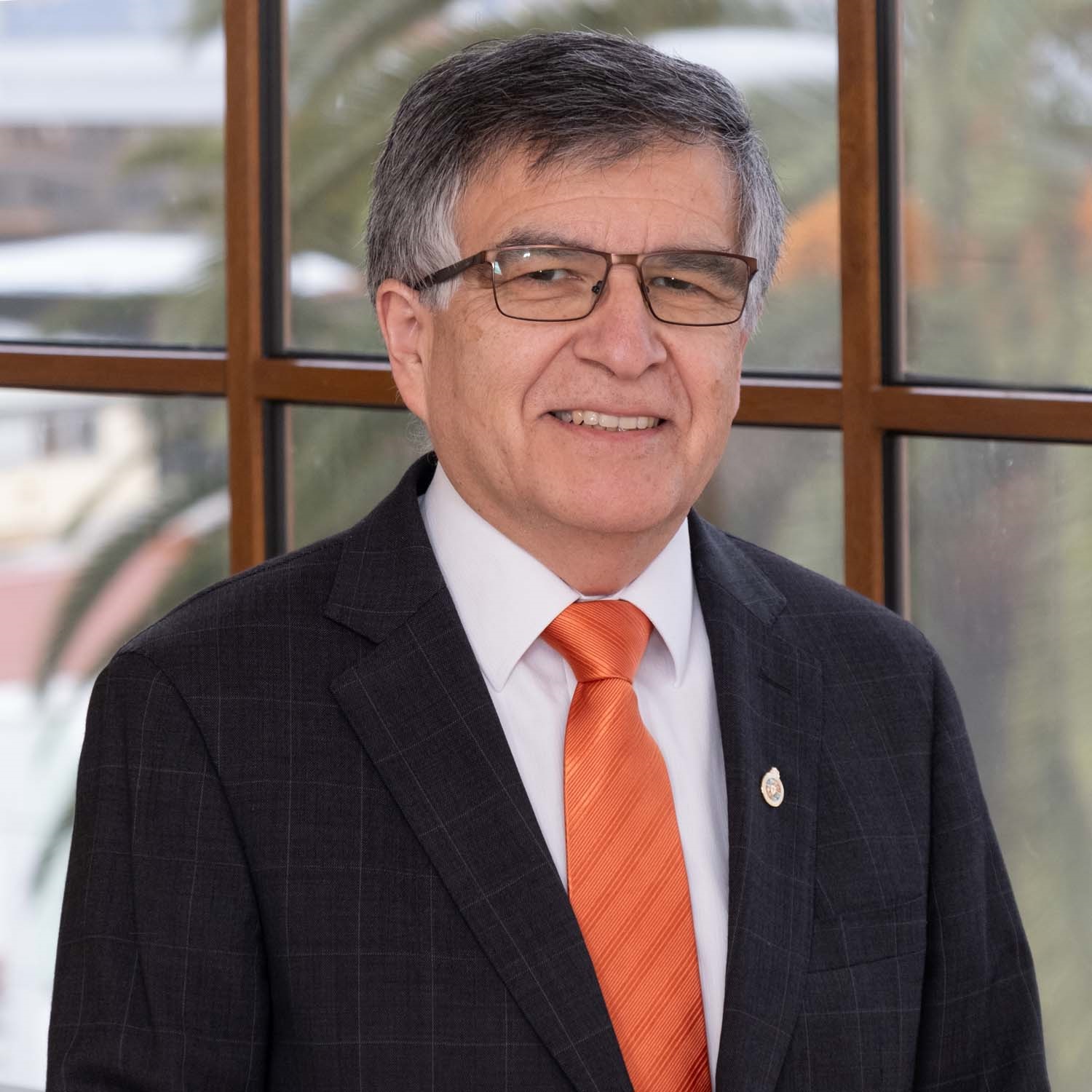 Imagen foto_00000025